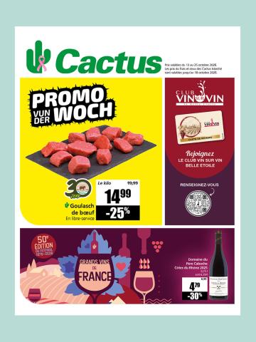 test_cover_cactus_digital_13_10_2026.jpg