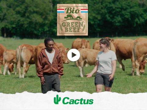 video_bio_green_beef_ok.jpg