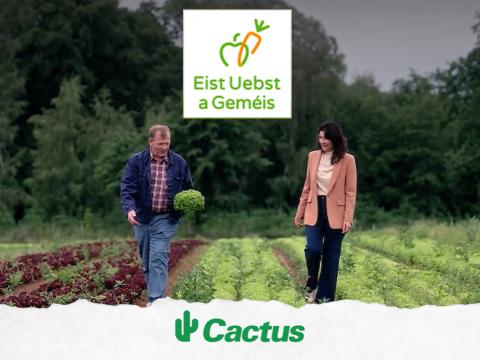 video_eist-uebst-a-gemeis.jpg