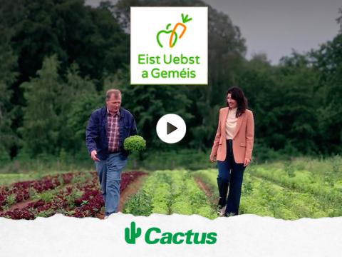 video_eist-uebst-a-gemeis_ok.jpg