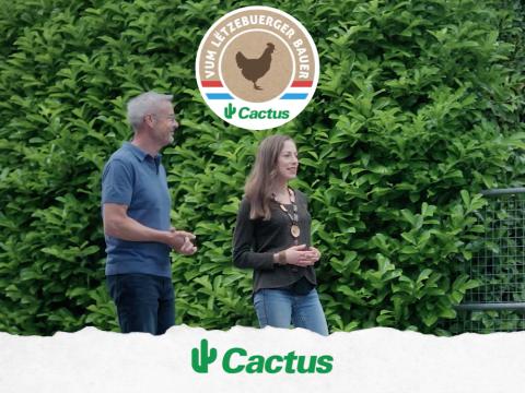 video_poulet.jpg
