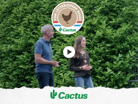video_poulet_ok.jpg