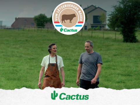 video_rendfleesch.jpg